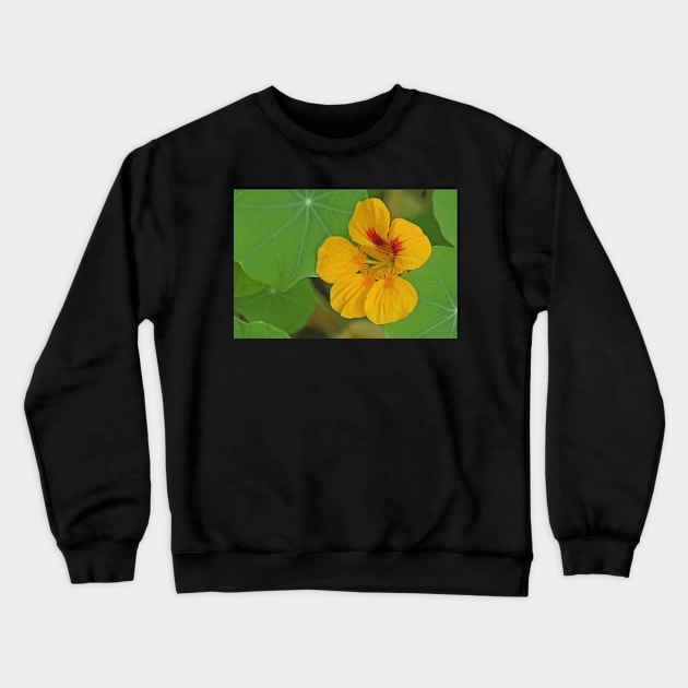 Nasturtium Crewneck Sweatshirt by EileenMcVey